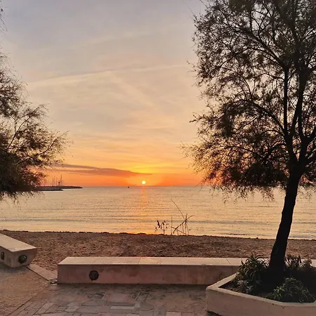Renove Avec Terrasse Et Jardin, Proche Commerces, Parking Prive - - Fr-1-251-583 * Bormes-les-Mimosas